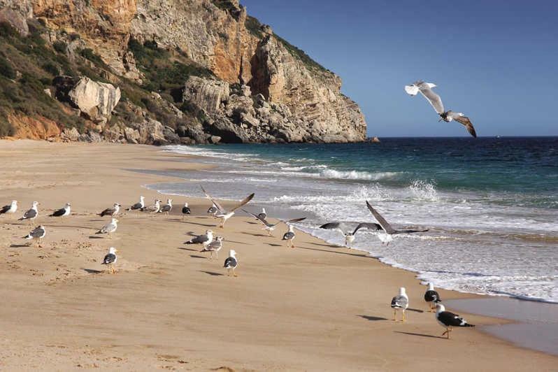 Refugio De Zimbra Lägenhet Sesimbra Exteriör bild