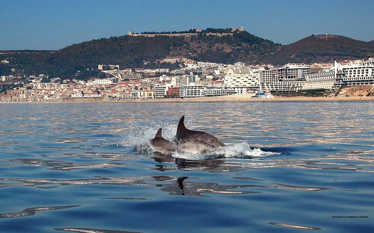 Refugio De Zimbra Lägenhet Sesimbra Exteriör bild